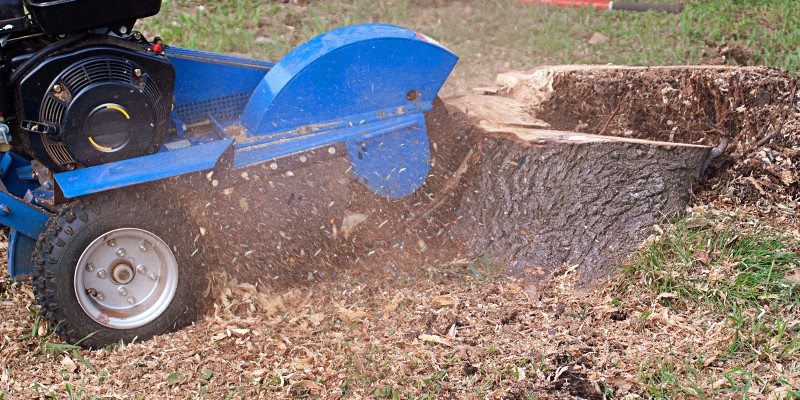 A blue stump grinder machine grinding down a large tree stump, with wood chips and debris flying around on a grassy area—expert tree services Long Island, NY in action.
