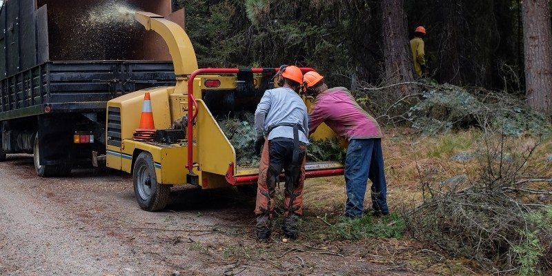 Two workers wearing helmets and safety gear feed tree branches into a wood chipper next to a truck on a forest road, showcasing professional tree services Long Island, NY, while another person stands by trees in the background.