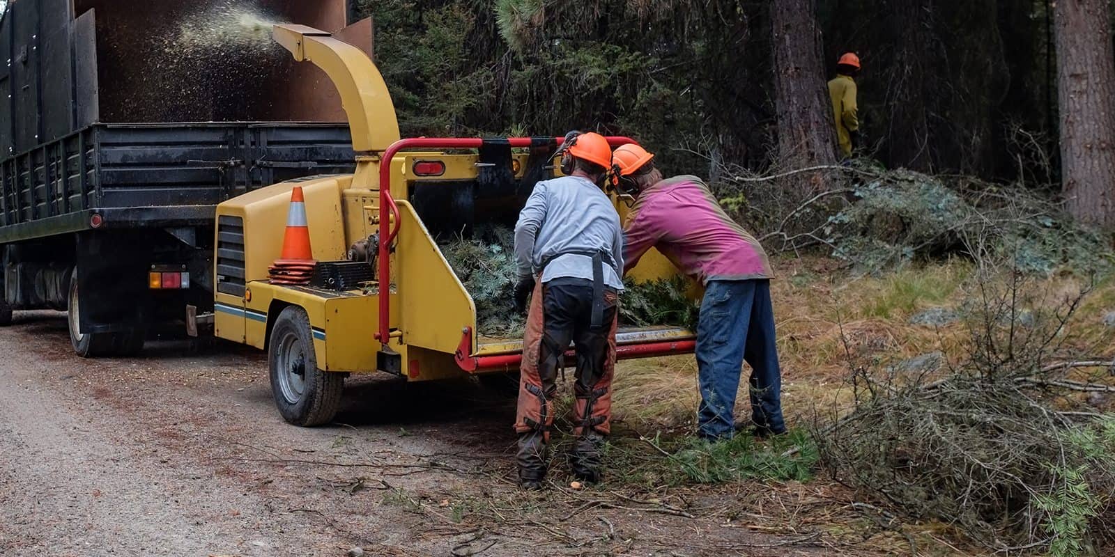 Two workers wearing helmets and safety gear feed tree branches into a wood chipper next to a truck on a forest road, showcasing professional tree services Long Island, NY, while another person stands by trees in the background.