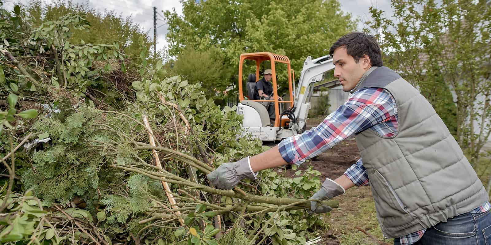 A man wearing gloves and a vest moves tree branches and yard debris, while another person operates a small excavator in the background—showcasing expert tree services Long Island, NY, surrounded by lush trees and greenery on a cloudy day.