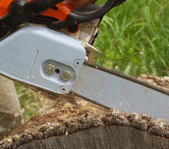 Tree removal company using a chainsaw to cut a tree