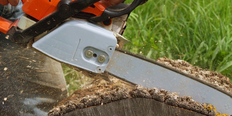 A close-up of a chainsaw cutting through a thick tree trunk, with wood chips and sawdust flying as the blade slices through the bark—capturing the power of NY tree services Long Island provides. Green grass is visible in the blurred background.