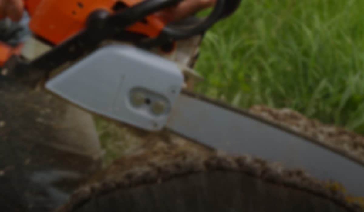 A blurry image of a person using an orange and white chainsaw to cut through a tree trunk, with green grass in the background—typical work for tree services Long Island, NY.