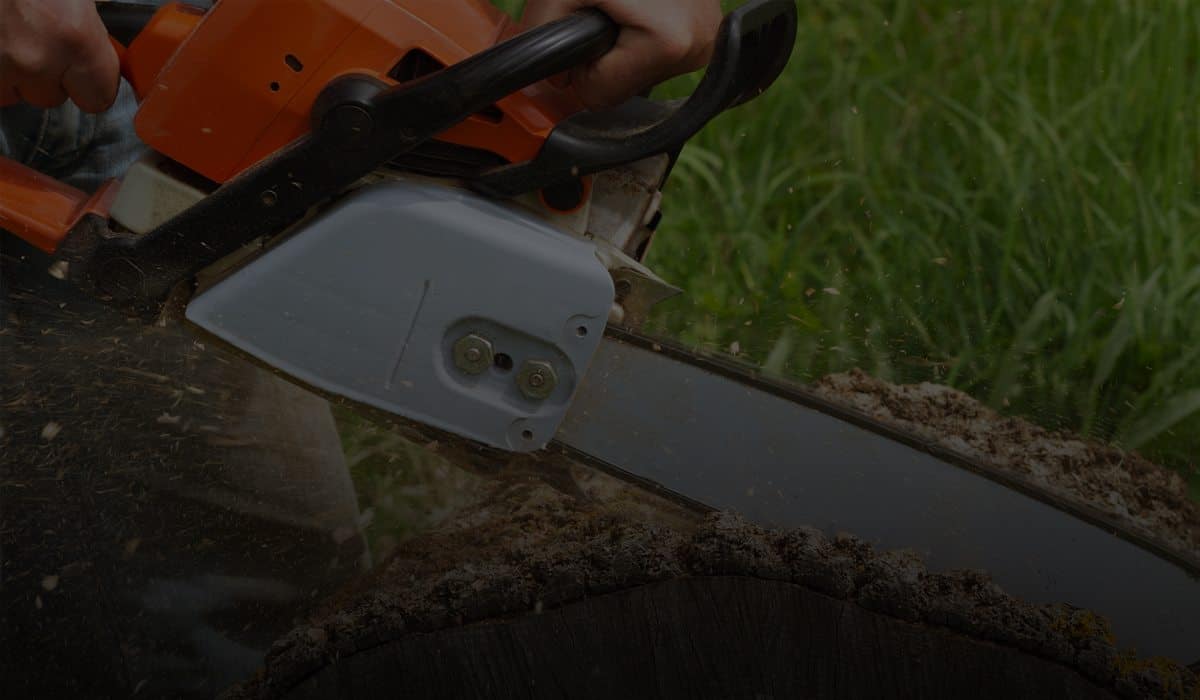 A person using an orange and silver chainsaw to cut through a thick tree trunk outdoors, showcasing expert tree services Long Island style, with sawdust flying and green grass in the background.