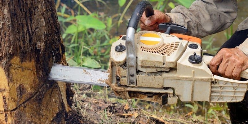 A person using a chainsaw to cut down a tree, with wood chips flying and green foliage in the background—a typical scene for professional tree services in Long Island, NY. The chainsaw is pressed against the trunk near the base.