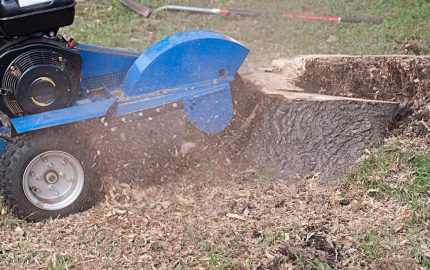 Stump grinder being used