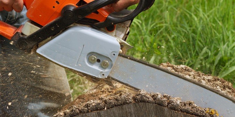 Close-up of a person using an orange and silver chainsaw to cut through a large tree trunk outdoors, with wood chips flying and green grass in the background—perfect for showcasing professional tree services Long Island, NY.