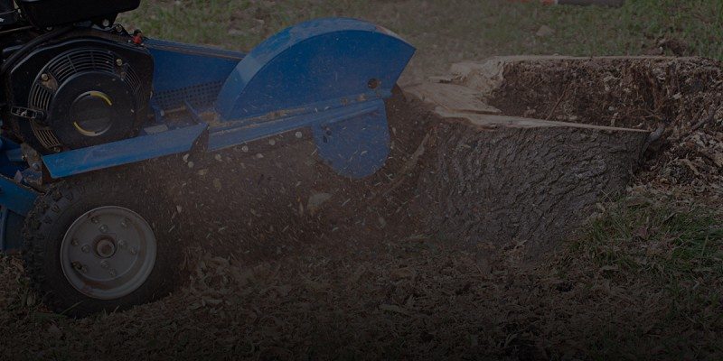 A stump grinder machine in action, grinding down a large tree stump outdoors on grass for tree services Long Island, with wood chips and debris flying around.