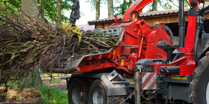 A wood chipper attached to a tractor processes a pile of tree branches and logs in a forested NY area near a wooden building, showcasing professional tree services Long Island relies on. The red machinery is actively pulling branches inside.