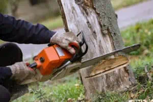 Tree Removal Nassau County