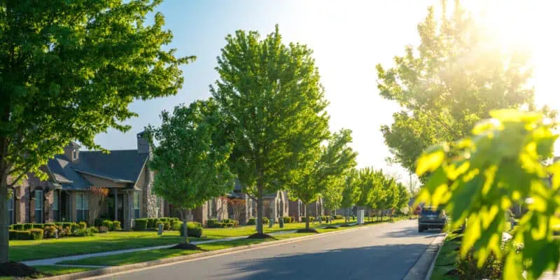 residential neighborhood with many trees.